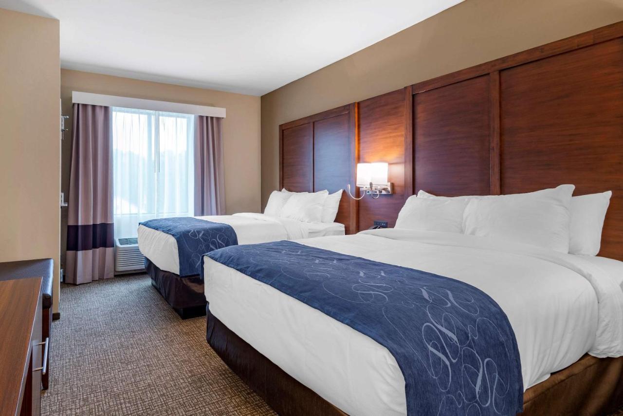 Comfort Newnan